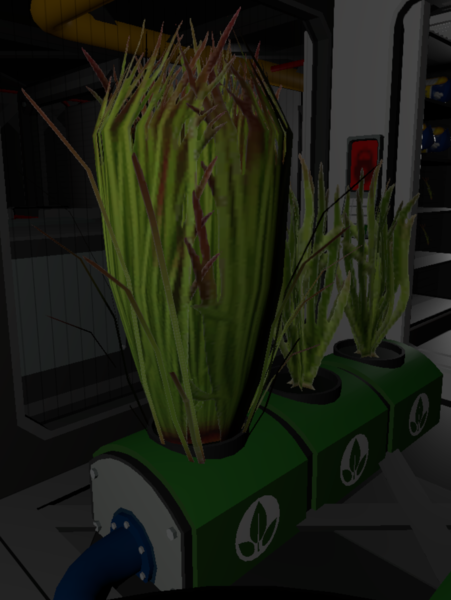 File:Switchgrass (cropped).png